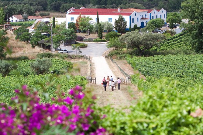 Alentejo Wine Tour From Évora - Highlights of the Tour