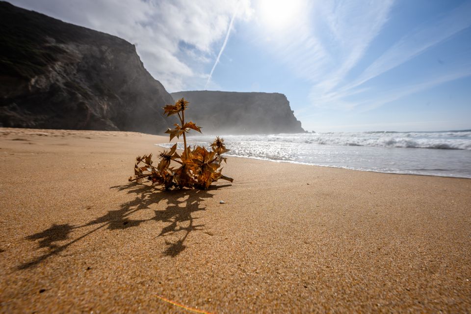 Algarve: Amazing Private Surf Lesson 2 Hours - Surf Gear and Equipment