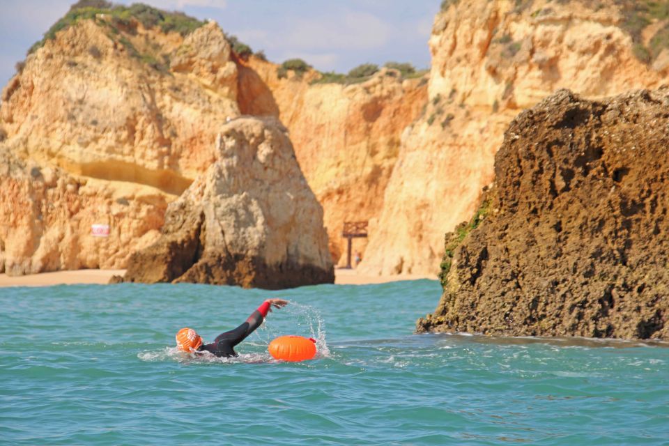 Algarve: Open Water Swimming - Guided Tour Experience