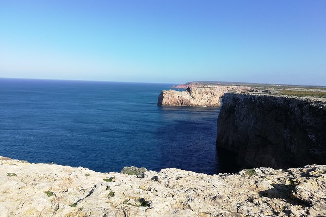 Algarve Private Tour From Lisbon - Reviews and Feedback