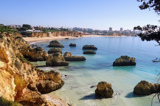 Algarve Private Tour With Typical Lunch - Pickup Details