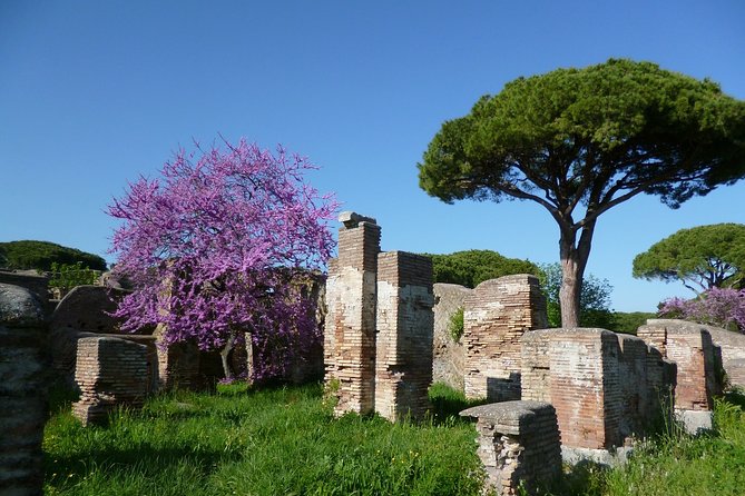 All-Included Guided Tour of Ancient Ostia From Rome With Hotel Pickup & Drop off - Explore Ancient Ostia