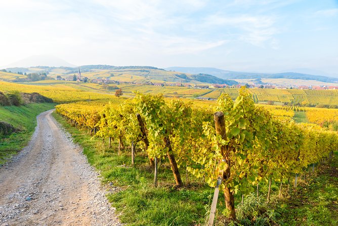 Alsace Half Day Wine Tour From Colmar - Confirmation and Accessibility