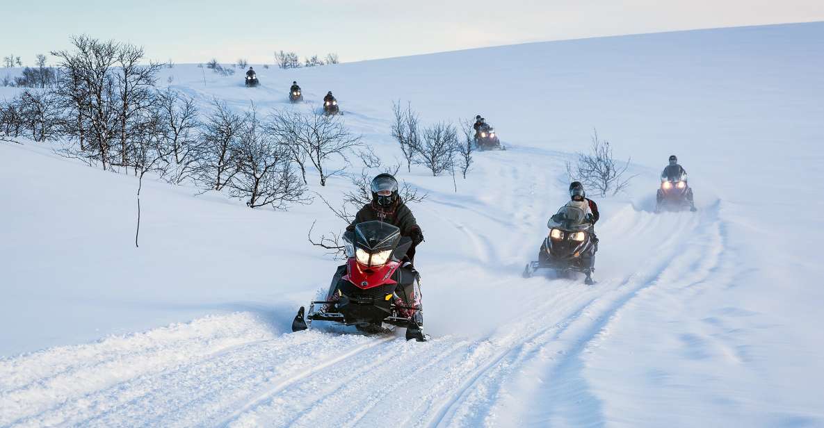 Alta: Guided Snowmobile Safari on Finnmarksvidda With Snacks - Exploring the Arctic Landscape