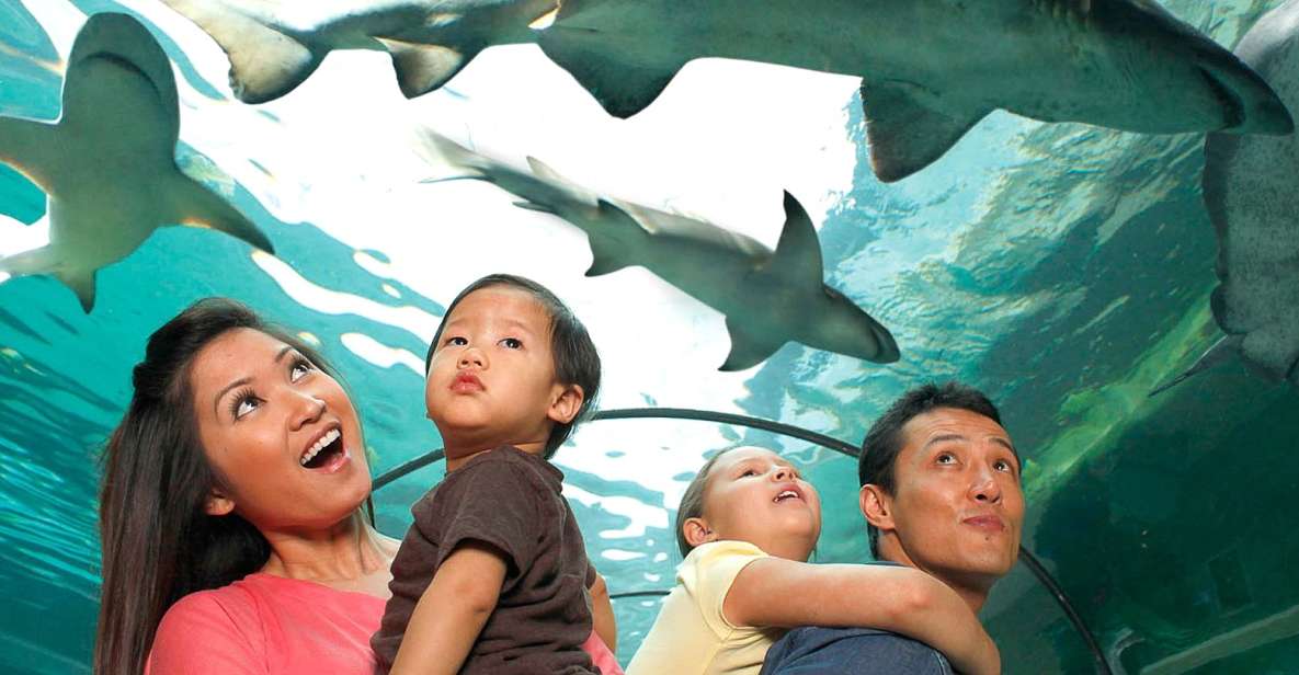 American Dream: SEA LIFE® Aquarium Entry Ticket - Interactive Exhibits