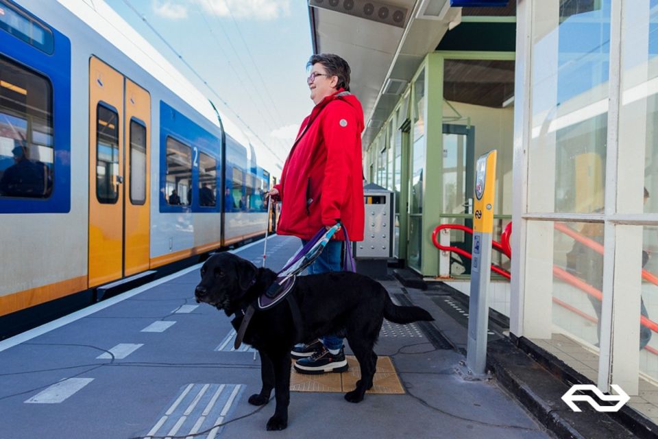 Amsterdam: Train Transfer Amsterdam From/To Leiden - Accessibility and Amenities