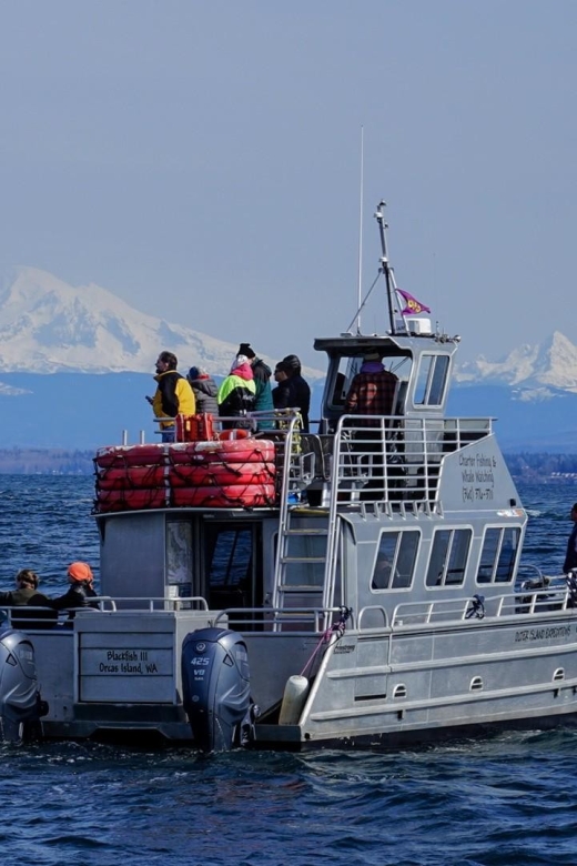 Anacortes: Orca Whales Guaranteed Boat Tour Near Seattle - Marine Naturalist Guided Tour