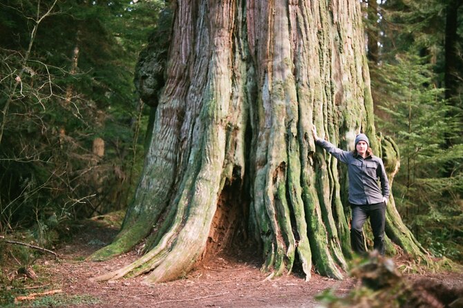 Ancient Trees of Vancouver Walking Tour - Meet the Expert Guide