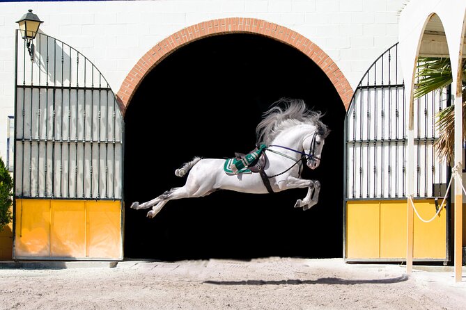 Andalusian Horses and Flamenco Show With Transportation - Cancellation Policy