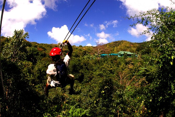 Antigua Zipline Canopy Adventure From St John'S - Tour Confirmation and Availability