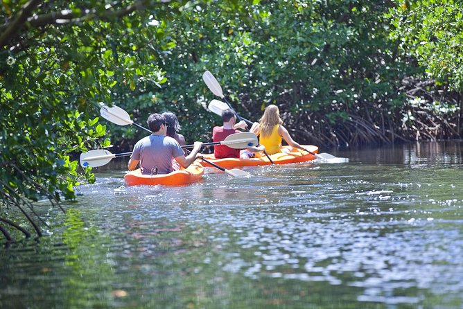 Antigua Zipline & Kayaking Combo From St. Johns - Snorkeling in the Caribbean