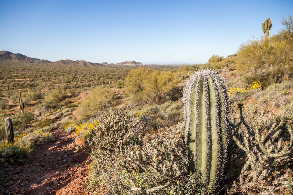 Apache Trail Tour and Lake Cruise: From Phoenix / Scottsdale - Experiencing Tortilla Flat