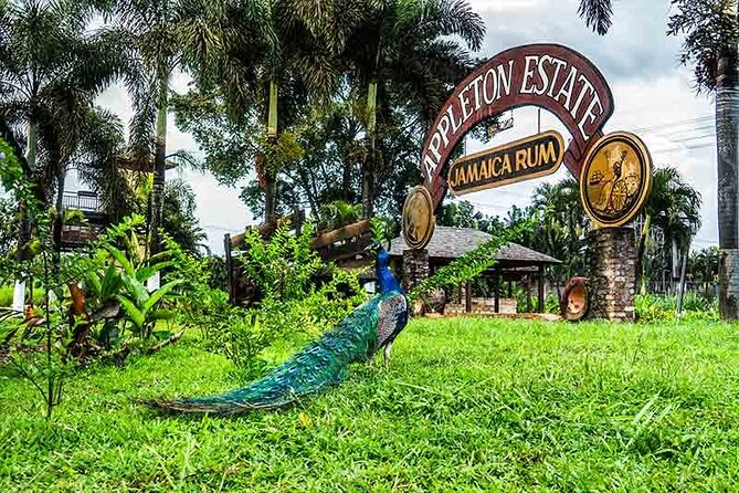 Appleton Estate Rum Private Tour - Rum Tasting Experience