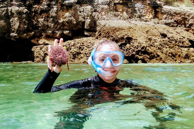 Arrábida Snorkeling Adventure With Transfer From Lisbon - Meeting Point and Pickup