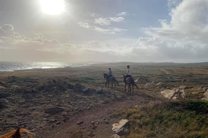 Aruba Horseback Riding Tour to Hidden Lagoon - Pickup and Meeting Point