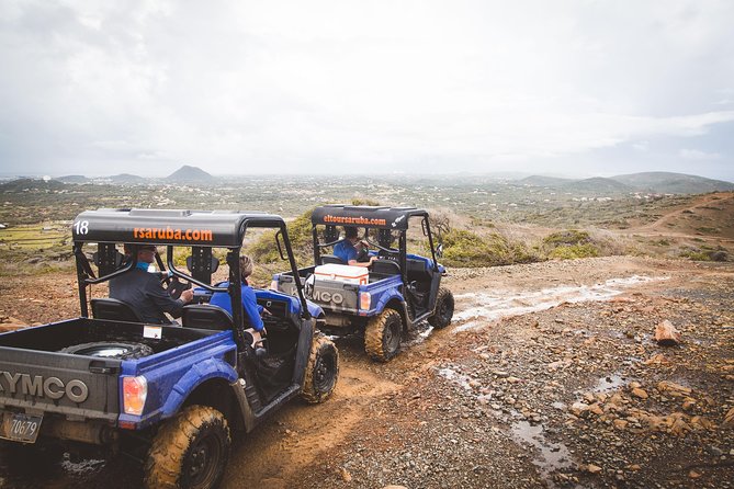 Aruba UTV Adventure Afternoon Tour - Pickup and Drop-off