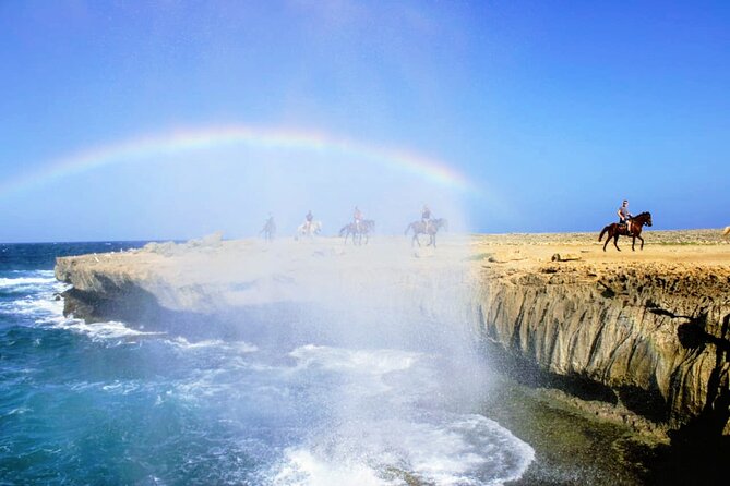 Arubas Northern Coast Horseback Adventure - Riding Tack and Safety Instructions