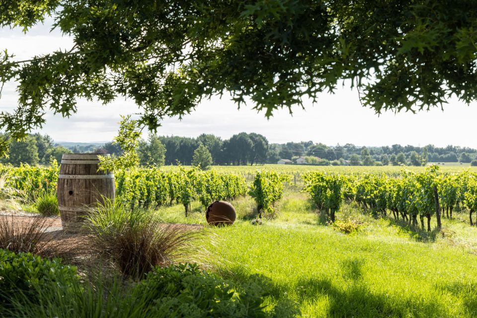 At the Gates of Toulouse: Gourmet Tour - Tasting the Négrette