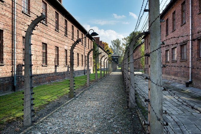 Auschwitz-Birkenau Memorial and Museum Guided Tour From Krakow - Tour Capacity and Pricing