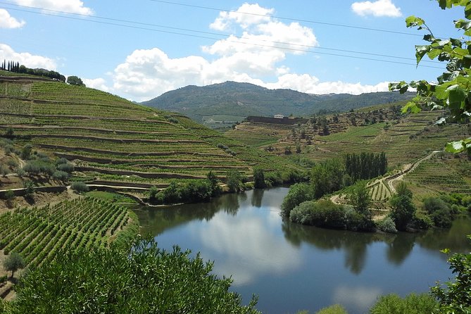 Authentic Douro Valley - Small-Group Tour (Max 7) - Personalized Small-Group Experience