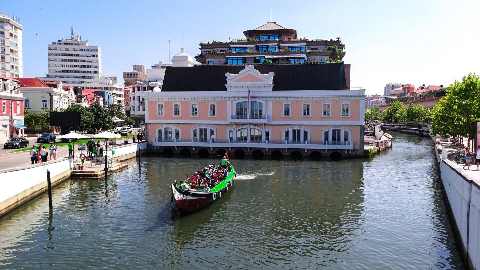 Aveiro Private Tour, Bairrada Wine Cellars & Roasted Piglet - Exploring Bairradas Winemaking Legacy