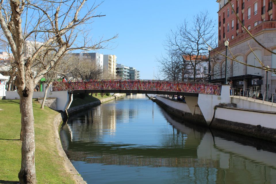 Aveiro: Private Walking Tour in the City and Moliceiro Boat - Private Group Experience