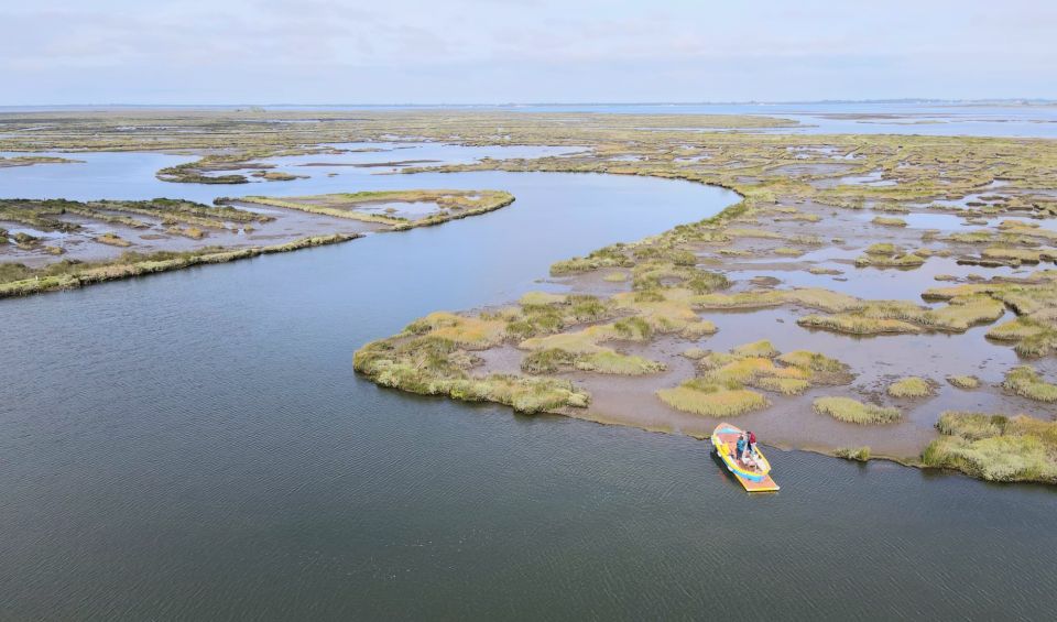 Aveiro: Ria Highlights Boat Tour - Inclusions