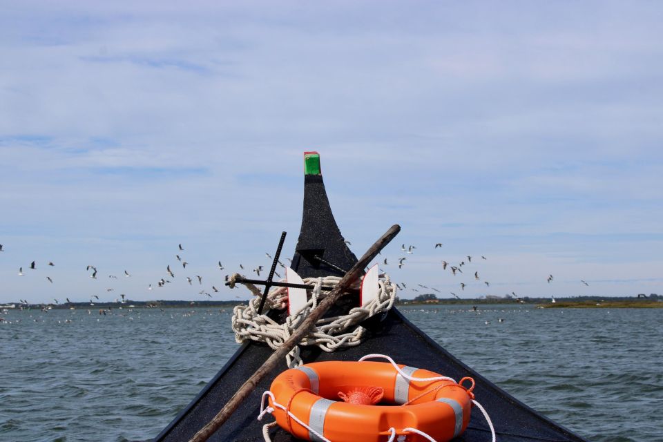 Aveiro: Typical Boat Tour With Tasting - 90 Min - Highlights of the Experience