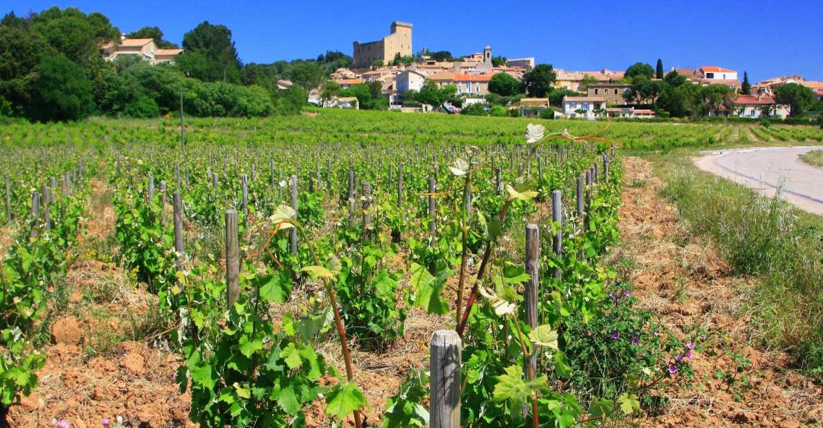 Avignon: Full-Day Wine Tour Around Châteauneuf-Du-Pape - Visiting the Appellations