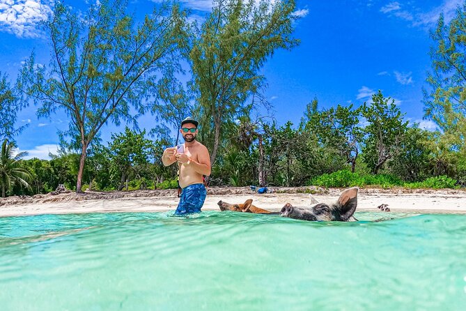 Bahamas: Swimming Pigs, Snorkeling, Beach Break Package - Package Highlights: Swimming Pigs