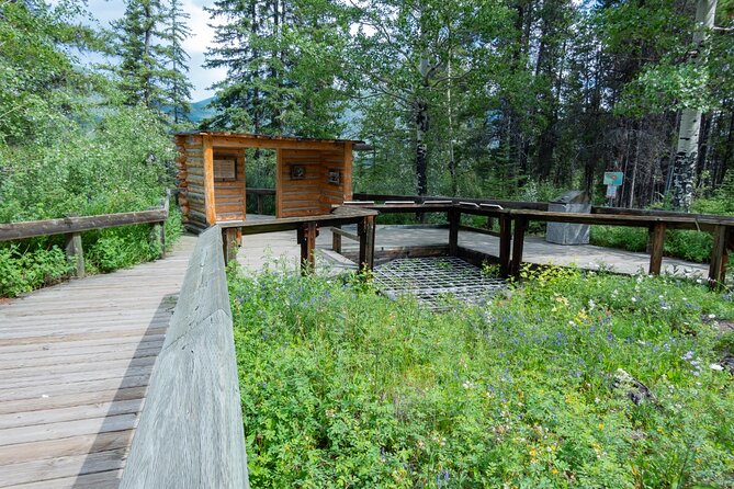 Banff Cave and Hot Springs Self-Guided Walking Tour - Meet the Narrator