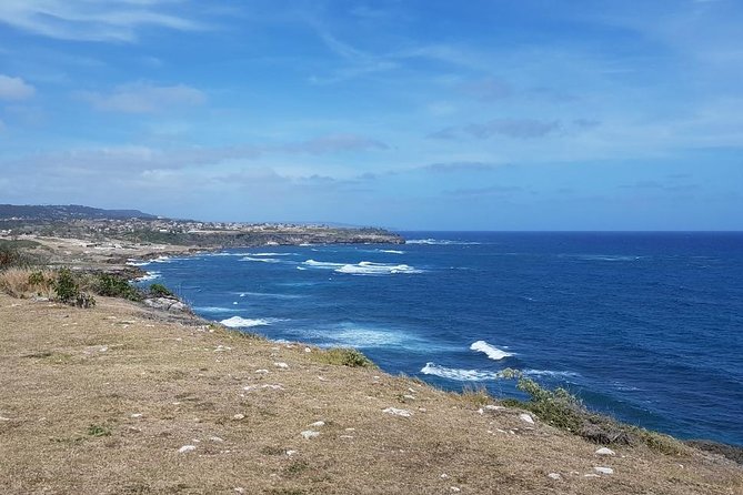 Barbados Coastal Sightseeing Private Tour - Sampling Local Drinks