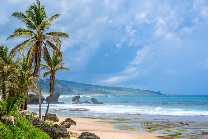 Barbados Coastal Tour - Logistics