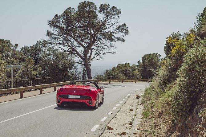 Barcelona Supercar Thrill: Test Drive Lamborghini Evo Spyder - Customer Feedback and Ratings