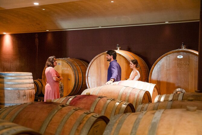 Bardolino Wine Experience - Vineyard and Cellar Tour