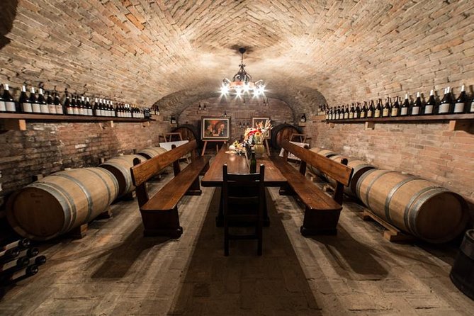 Barolo Wine and Food Tasting at Piedmont Region Winery - Vineyard and Cellar Exploration