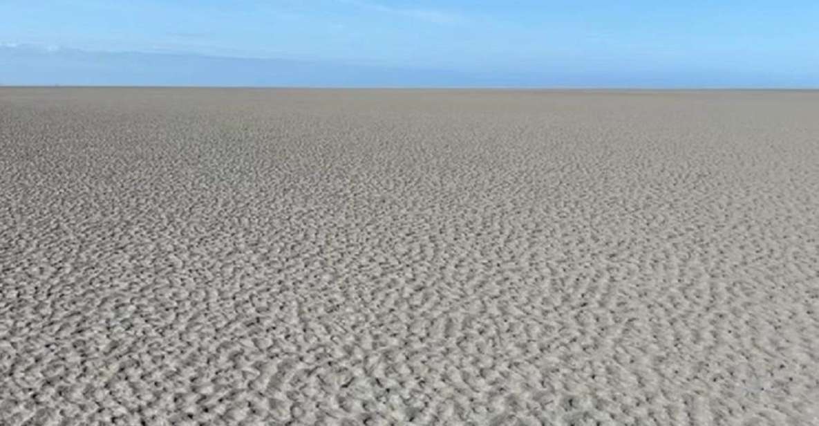 Bay of Mont Saint-Michel: Towards The Immensity - Inclusions and Exclusions