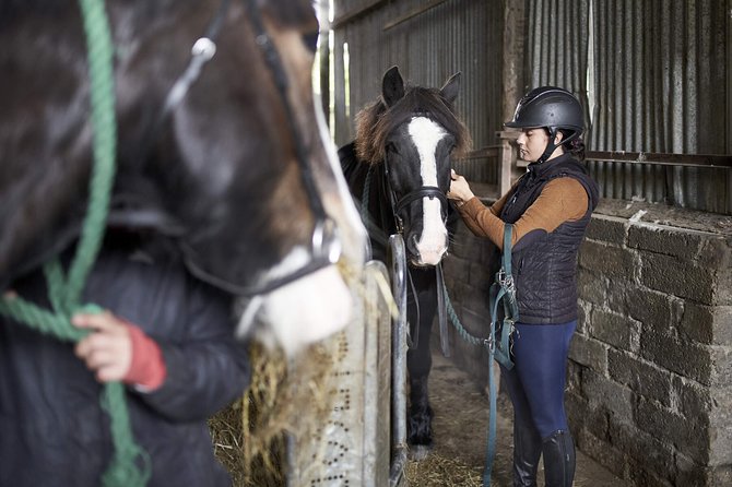 Beach & Countryside Horse Riding Outside Westport. Guided. 1 Hour - Inclusions and Exclusions