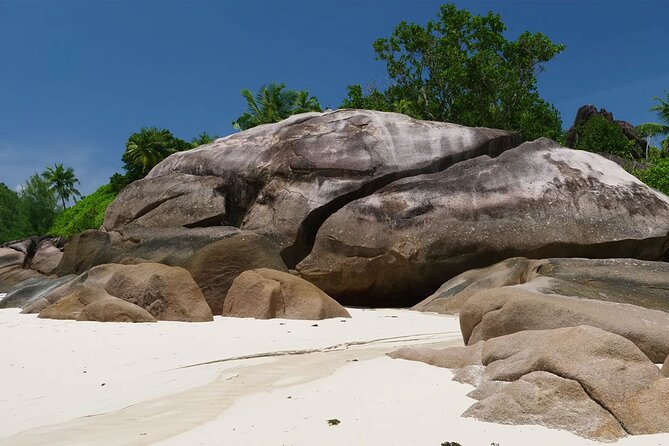 Beaches, Sand Castles, Swimming & Snorkeling | Mahé | Seychelles | Private Tour, NEW - Additional Details