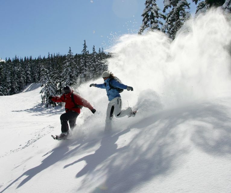 Bend: Half-Day Snowshoe Tour in the Cascade Mountain Range - Pricing and Group Size