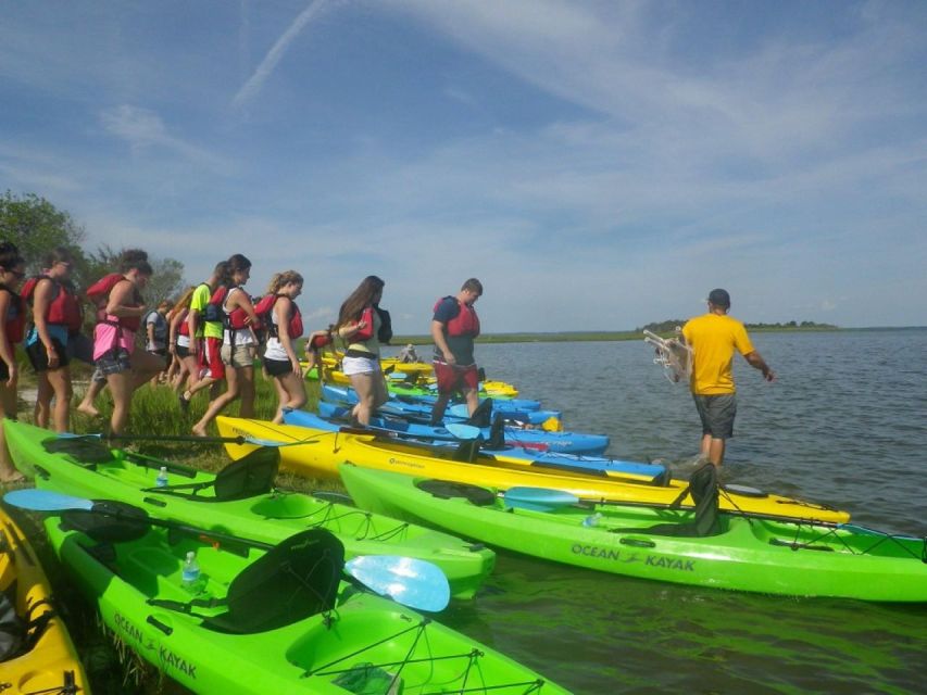 Berlin: Assateague Island Wildlife Discovery Kayak Tour - Included Services