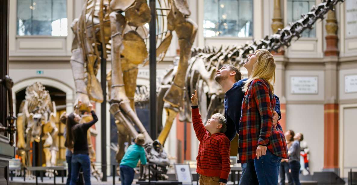 Berlin: Natural History Museum Entrance Ticket - Visitor Information and Amenities