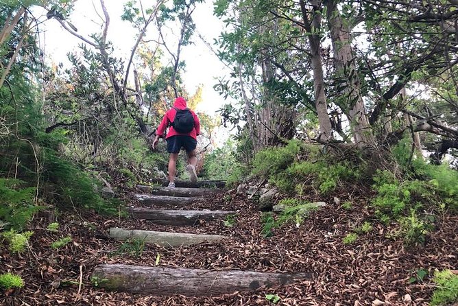 Bermuda Railway Trail and Off The Beaten Path Walking Experience - Accessibility and Additional Info