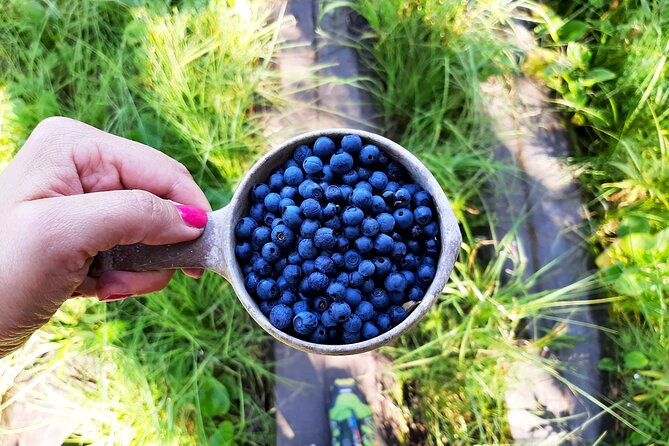 Berry Picking in a National Park - Preparing the Finnish-Style Lunch