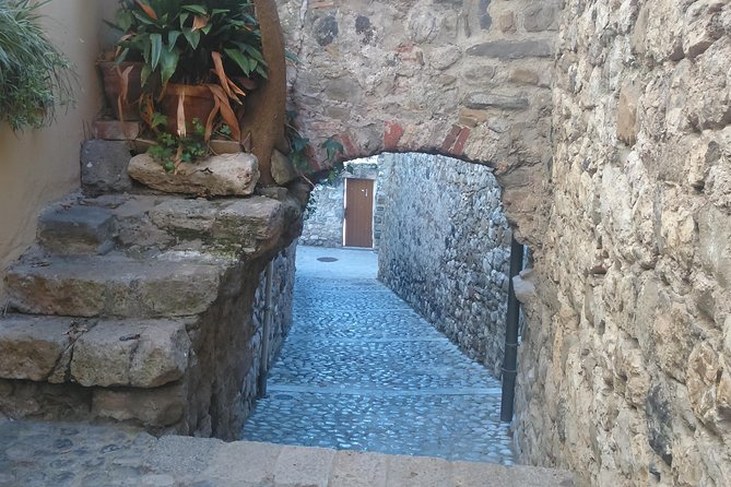 Besalu, Banyoles Lake & Garrotxa Volcanoes Small Group From Girona - Guided Tour With Historical Insights