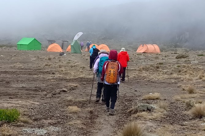 Best Kilimanjaro Adventure 7 Days Machame Route Hike Experience - Pickup and Meeting Details