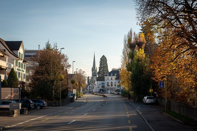 Best of Zurich Tour With Felsenegg Cable Car and Ferry Ride - Felsenegg Cable Car Ascent