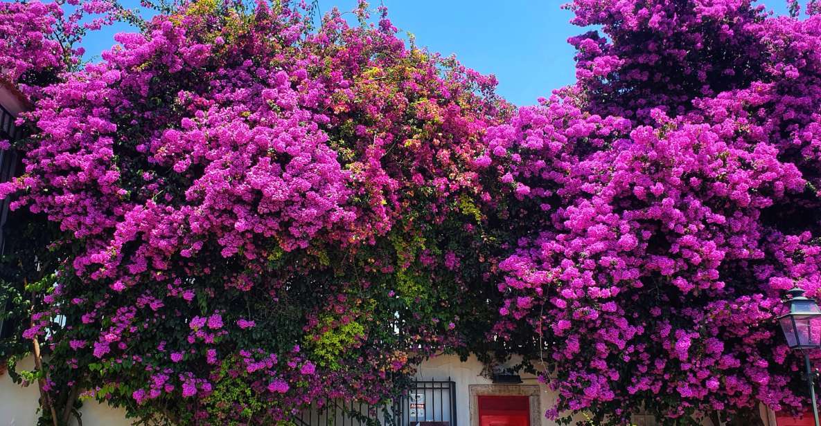 Best Part of Lisbon | Alfama and Belem - Discovering Hidden Plazas