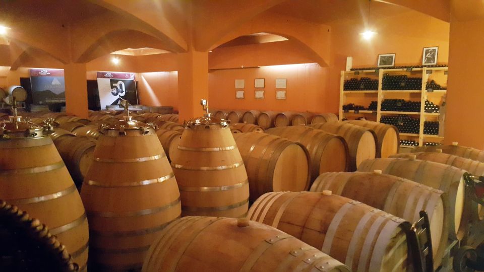 Best Wines of Crete: Private Wine Tasting Tour in Heraklion - Participant Requirements