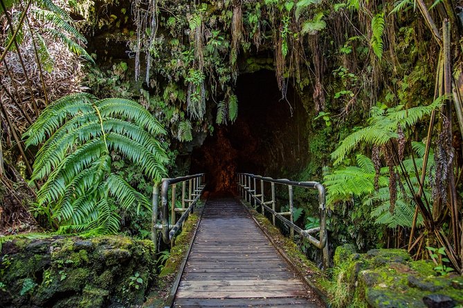 Big Island in a Day: Volcanoes Waterfalls Sightseeing and History - Inclusions and Pricing